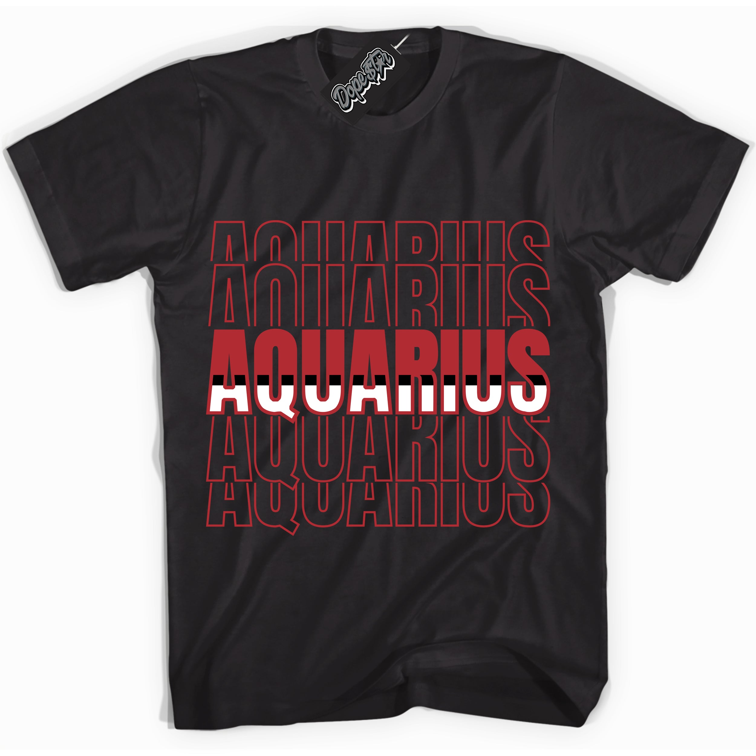Cool Black graphic tee with “ Aquarius ” print, that perfectly matches Lost And Found 1s sneakers 