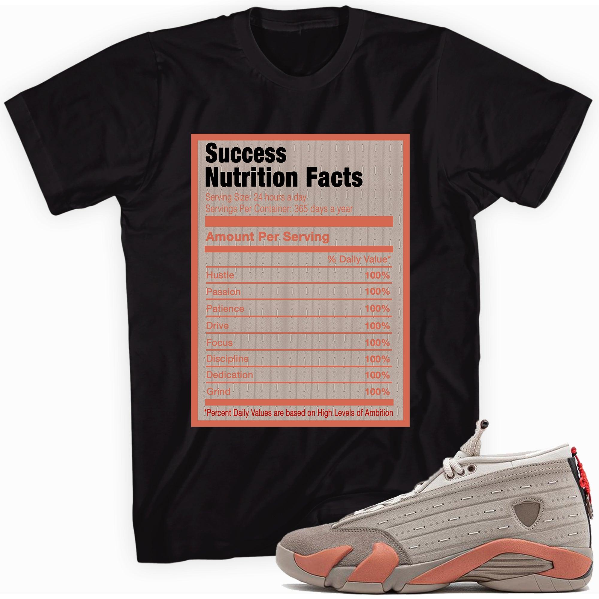 Success Nutrition Facts Sneaker Tee AJ 14 Low Terracotta photo