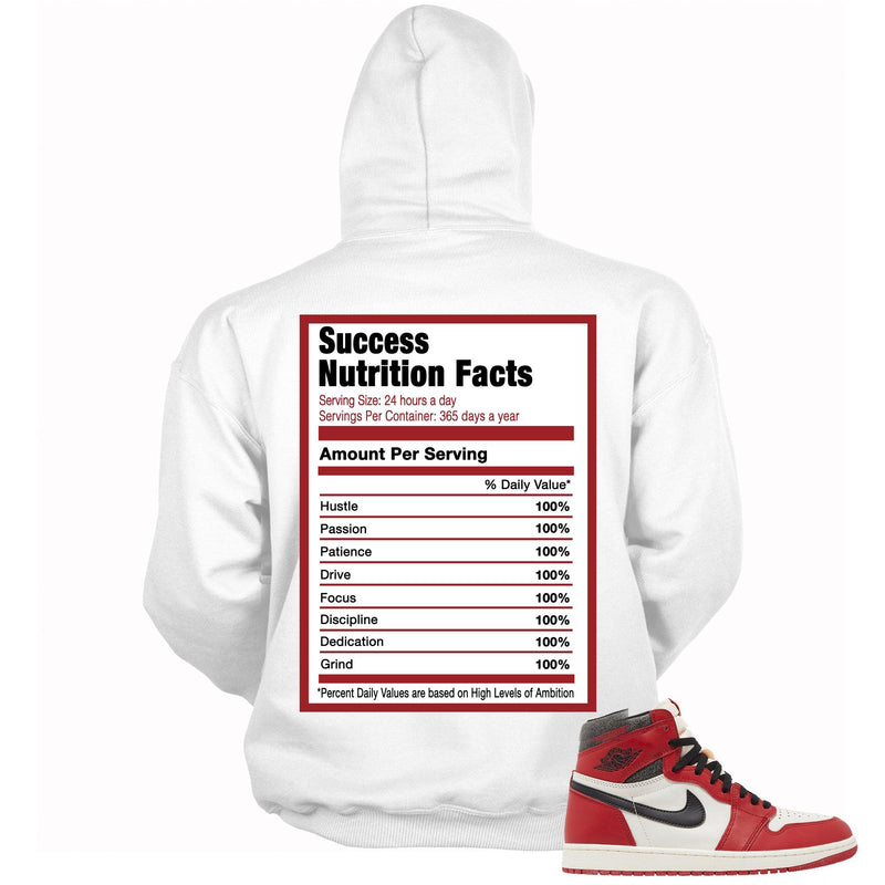 Success Nutrition Hoodie AJ 1 Retro High OG Lost and Found photo