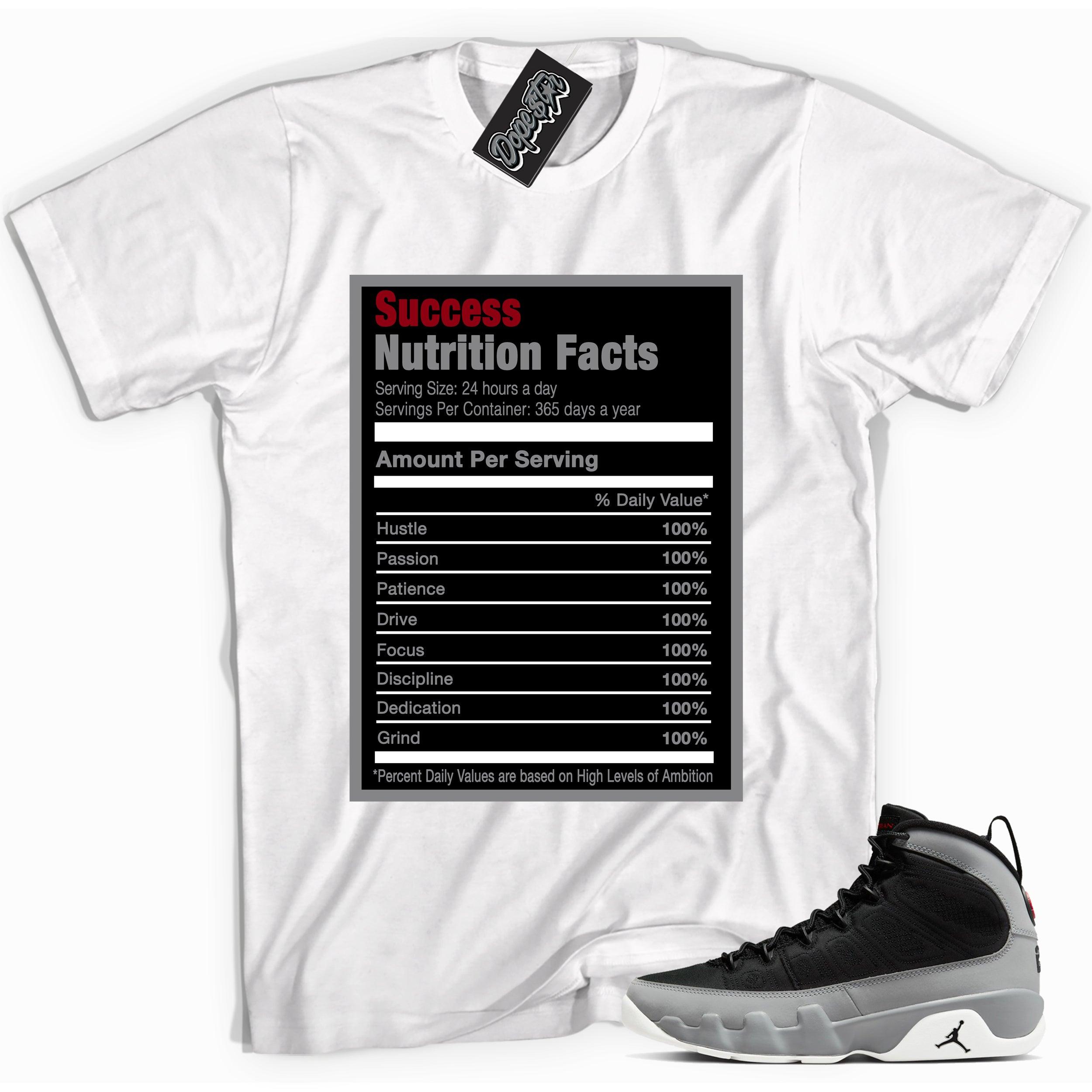 Success Nutrition Facts Sneaker Tee Air Jordan 9 Particle Grey photo