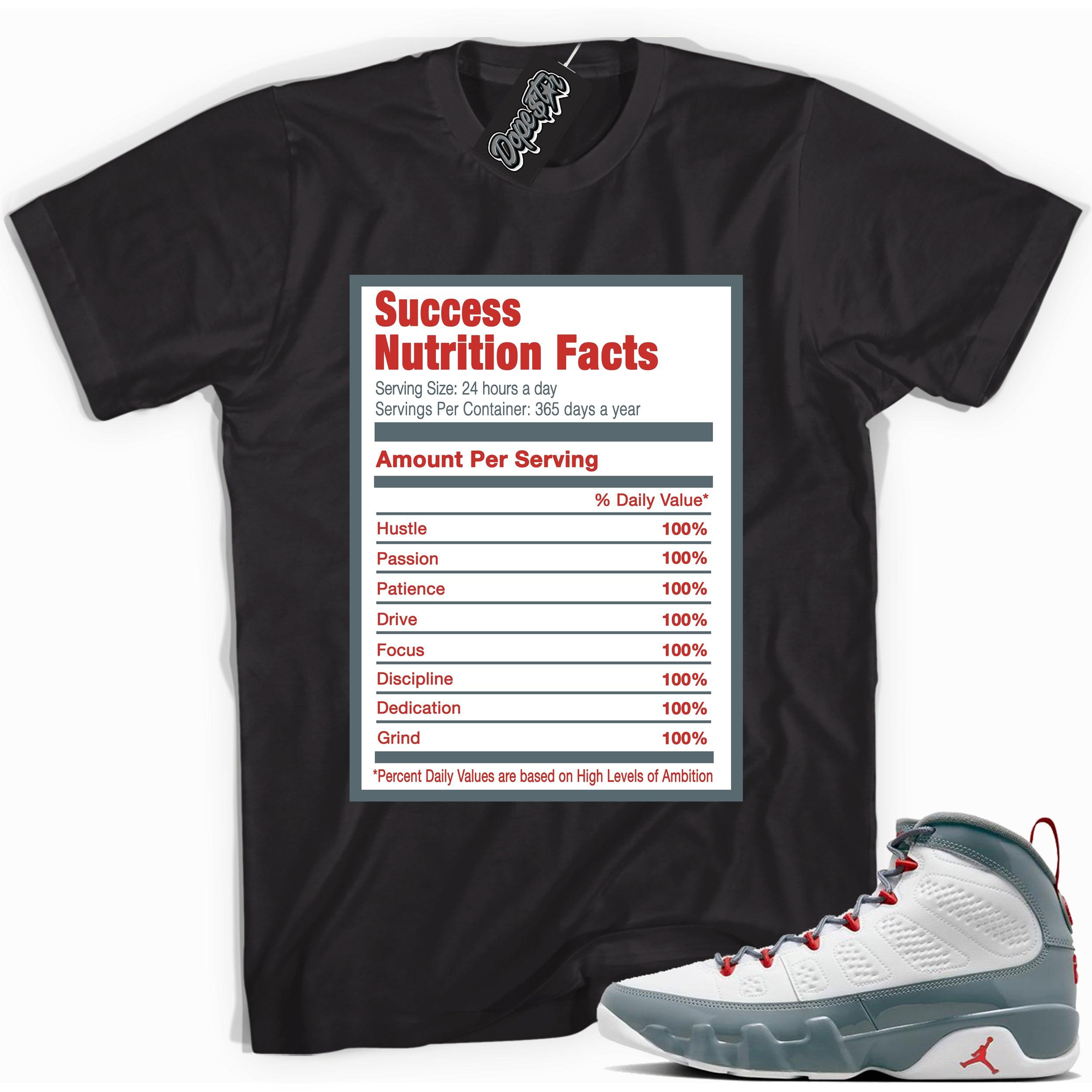 Success Nutrition Facts Sneaker Tee Air Jordan 9 Red Fire photo