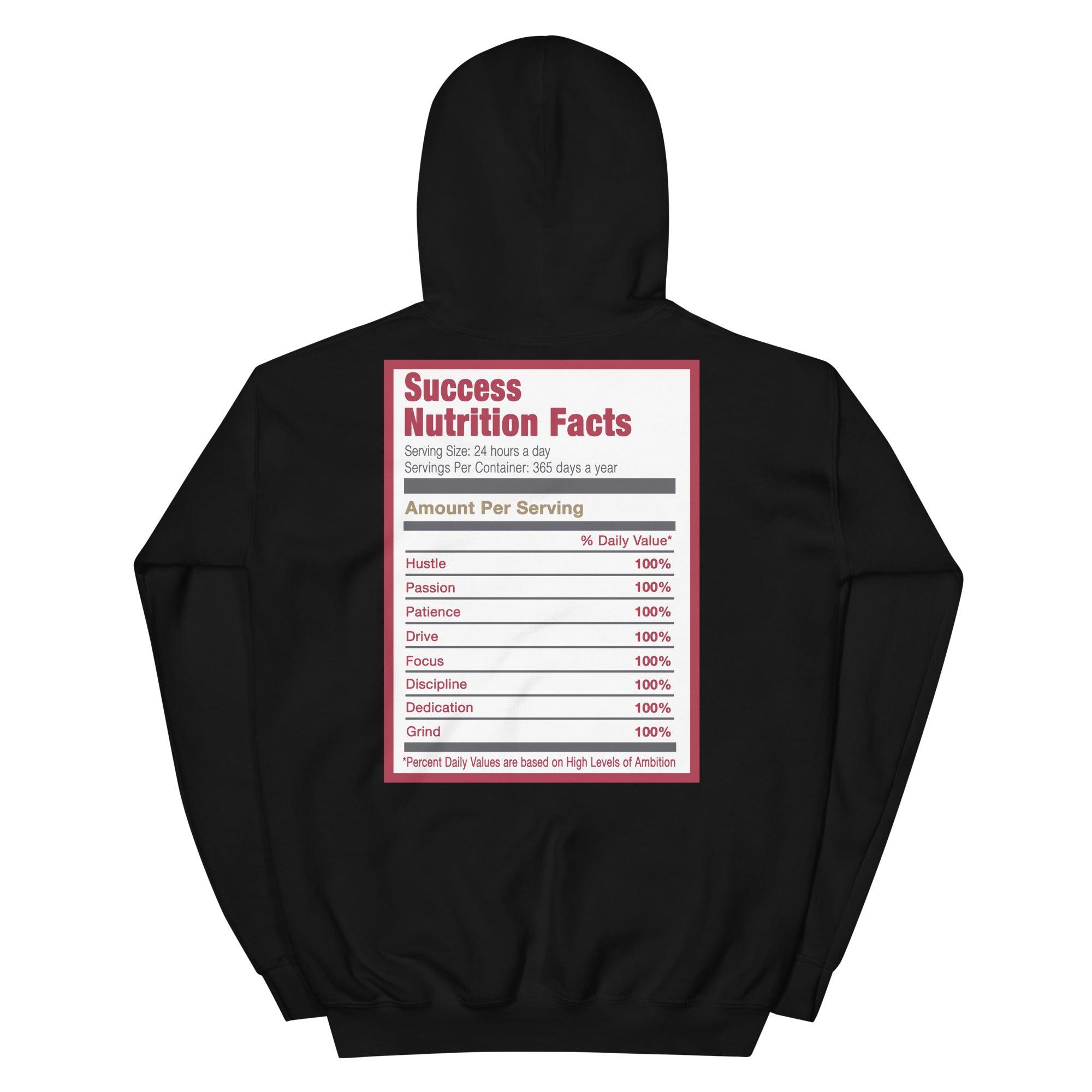 Black Success Nutrition Facts Hoodie AJ 13 Red Flint photo